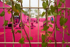 Спортивное пространство в парке «Краснодар»  &copy;&nbsp;Фото Елены Синеок, Юга.ру