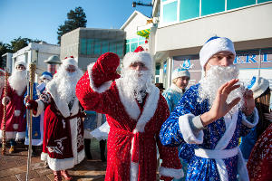 Парад Дедов Морозов в Сочи © Нина Зотина, ЮГА.ру