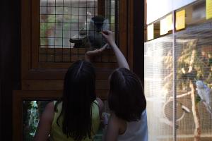  © Скриншот видео с ютуб-канала Ильи Варламова, youtu.be/dkr6Dq-WIBE