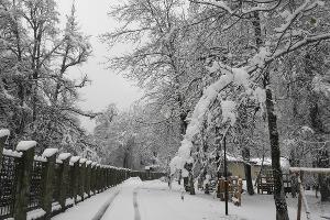  © Фото пресс-службы Кавказского заповедника