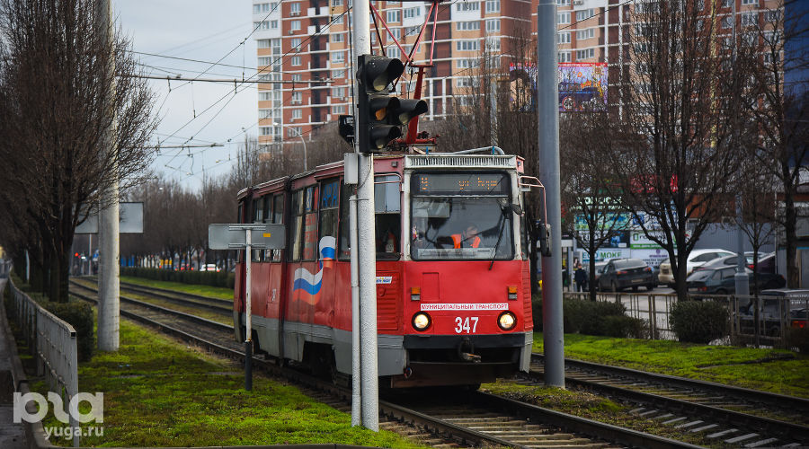  © Фото Елены Синеок, Юга.ру