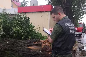  &copy;&nbsp;Фото пресс-службы Следственного управления СКР по Краснодарскому краю