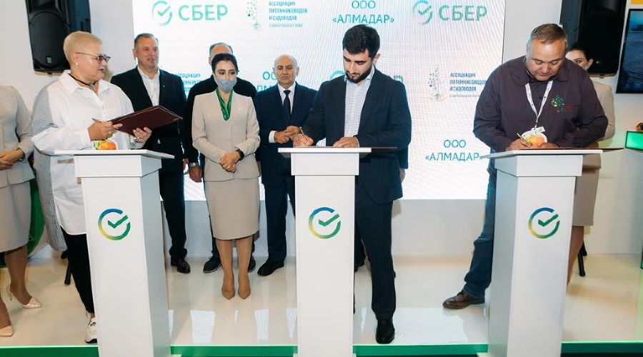  © Фото Александра Бруснева, предоставлено пресс-службой Юго-Западного Сбербанка