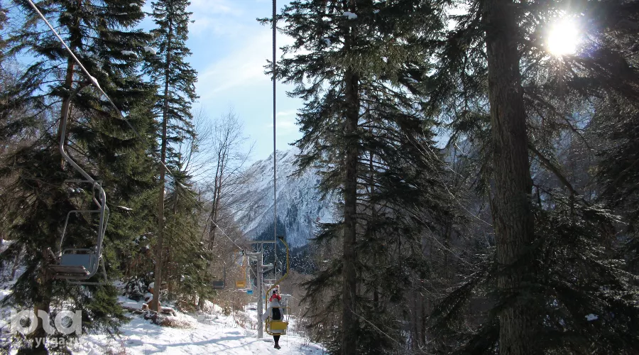  &copy;&nbsp;Фото Марины Солошко, Юга.ру