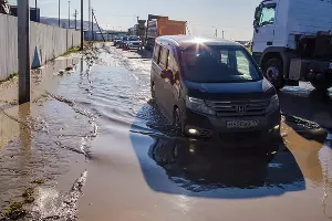  &copy;&nbsp;Фото пресс-службы администрации Краснодара