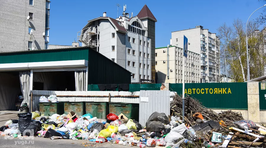  &copy;&nbsp;Фото Елены Синеок, Юга.ру