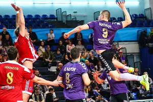 Матч полуфинала чемпионата России ГК «Чеховские медведи» — «Динамо-Виктор» &copy;&nbsp;Фото пресс-службы ГК &laquo;Чеховские медведи&raquo;