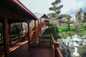  &copy;&nbsp;Антон Быков, Юга.ру