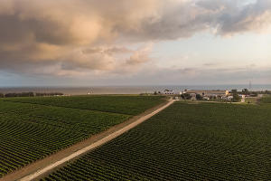  © Фотография предоставлена пресс-службой ЦСИ «Типография»