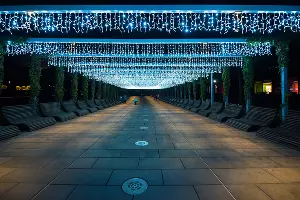 Парк «Краснодар»  с новогодней подсветкой &copy;&nbsp;Фото Елены Синеок, Юга.ру