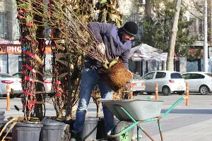  &copy;&nbsp;Фото пресс-службы администрации Краснодара