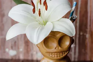 Бар Mr. Drunke Bar &copy;&nbsp;Фото из инстаграма бара Mr. Drunke Bar, instagram.com/mr_drunkebar