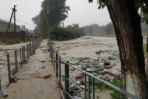  © Фото Эмира Кубединова