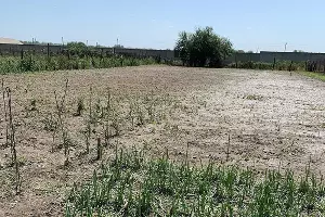  &copy;&nbsp;Фото из паблика &laquo;Типичная Адыгея&raquo;, vk.com/typical01