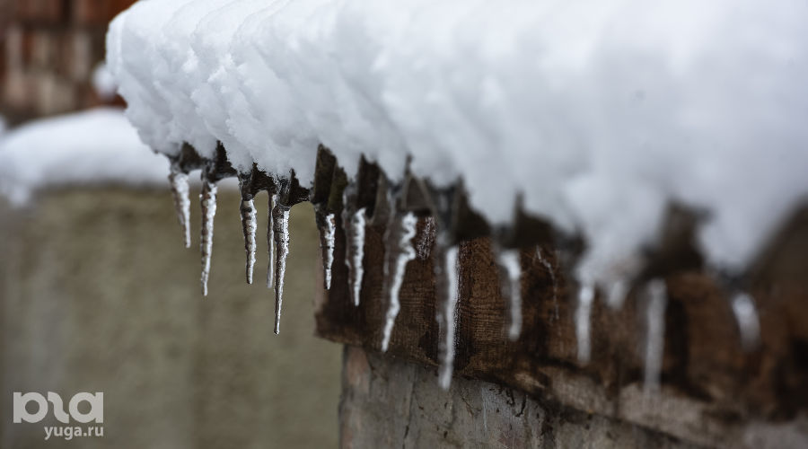  &copy;&nbsp;Фото Елены Синеок, Юга.ру
