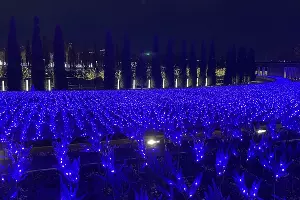  &copy;&nbsp;Фото Олеси Шубиной, Юга.ру