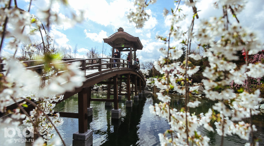 Как попасть в Японский сад в Краснодаре без очереди