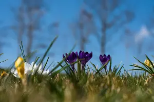  &copy;&nbsp;Фото Елены Синеок, Юга.ру