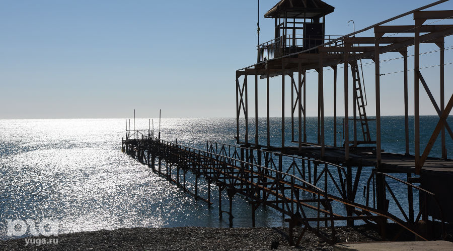  © Фото Елены Синеок, Юга.ру