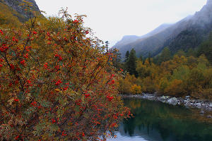  &copy;&nbsp;Фото Марины Солошко, Юга.ру