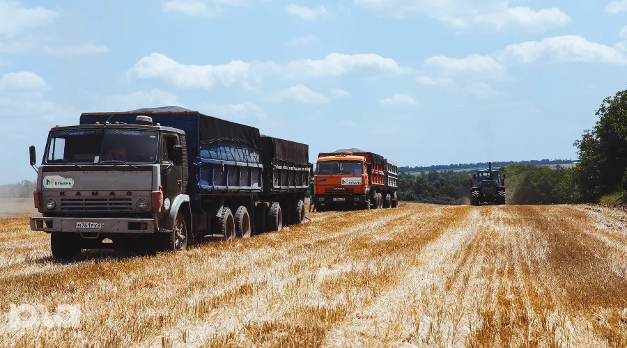  &copy;&nbsp;Фото Амины Ибрагимовой, Юга.ру