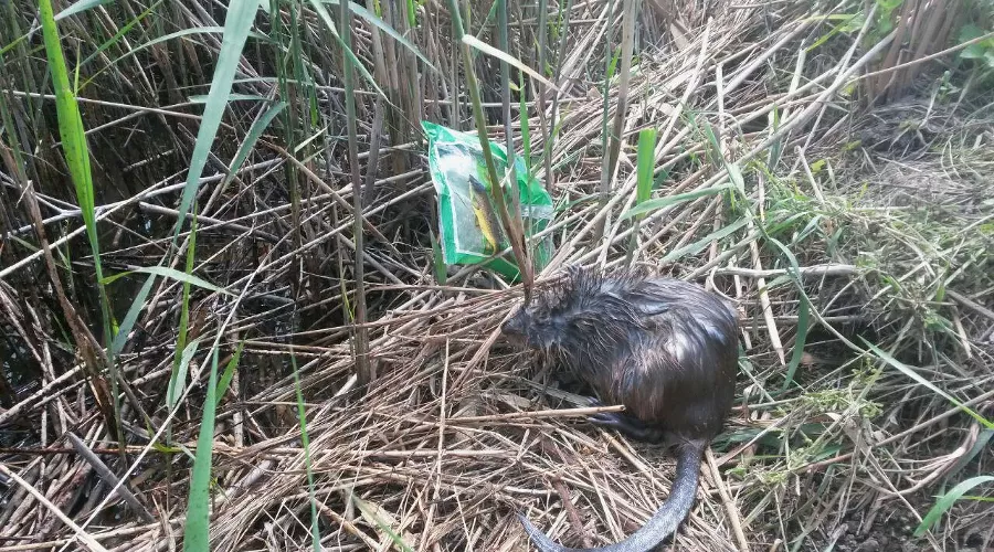  &copy;&nbsp;Фото из группы &laquo;Краснодарский край&raquo; &laquo;ВКонтакте&raquo;, vk.com/krdregion