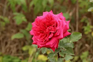  &copy;&nbsp;Фото пресс-службы курорта &laquo;Роза Хутор&raquo;