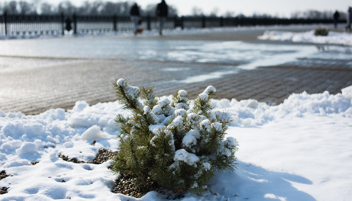 Дождь, мокрый снег и гололед