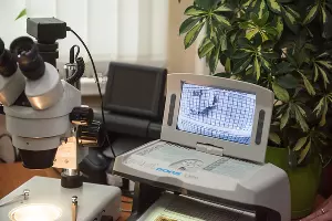 Подозрительные банкноты на экспертизе у специалиста &copy;&nbsp;Фото Елены Синеок, Юга.ру