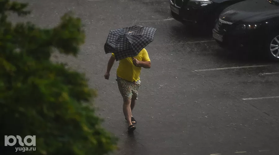  &copy;&nbsp;Фото Елены Синеок, Юга.ру