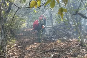  &copy;&nbsp;Фото Максима Ребеченко