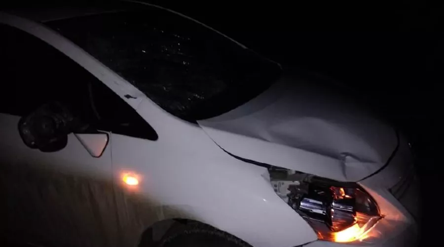  &copy;&nbsp;Фото отдела пропаганды УГИБДД ГУ МВД РФ по Краснодарскому краю