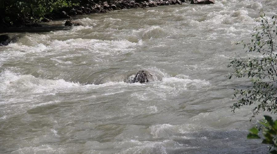  &copy;&nbsp;Фото пресс-службы ЮРПСО МЧС России