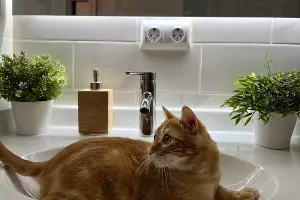  &copy;&nbsp;Фото Александры Булавкиной, Юга.ру