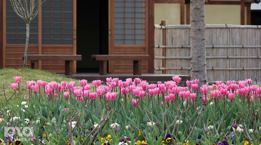  &copy;&nbsp;Фото Дмитрия Лобанова, предоставлено Юга.ру