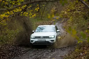 На Volkswagen Tiguan к Медвежьей горе &copy;&nbsp;Фото Елены Синеок, Юга.ру