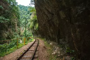 Гуамка &copy;&nbsp;Фото Евгения Маханько