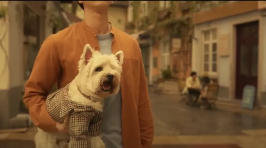 Кадр из трейлера к фильму «Любовь и пёсики» &copy;&nbsp;Скриншот видео с YouTube-канала &laquo;Трейлеркин&raquo;