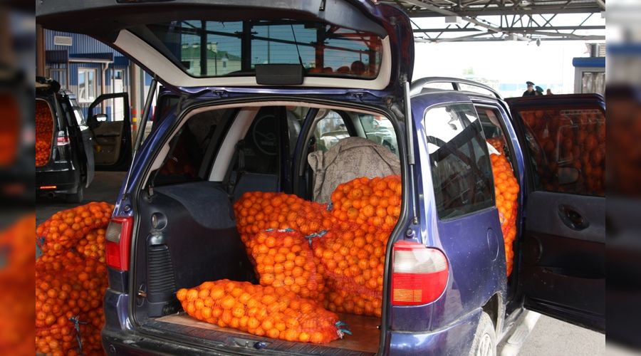  &copy;&nbsp;Фото пресс-службы Сочинской таможни