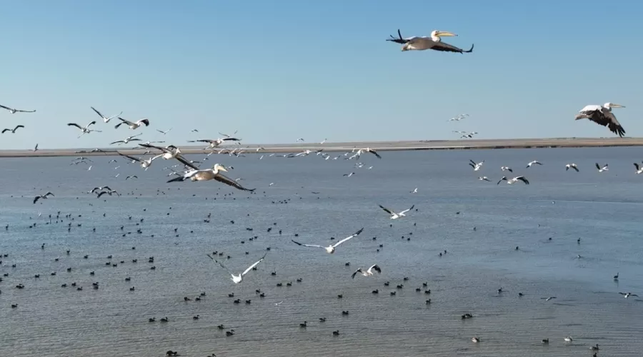  &copy;&nbsp;Фото пресс-службы Минприроды России