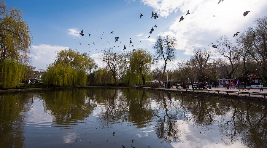 Пруд в парке «Городской сад» в Краснодаре © Фото Елены Синеок, Юга.ру