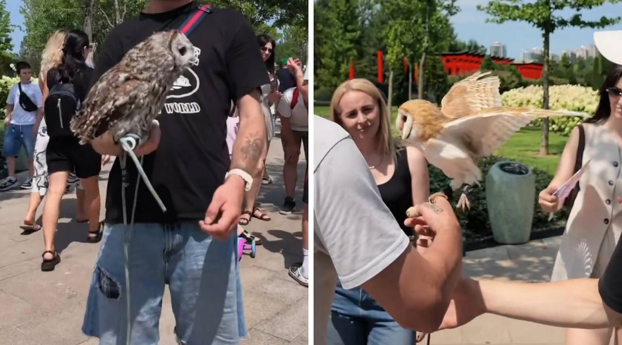 &copy;&nbsp;Скриншоты видео из соцсетей Андрея Головинского