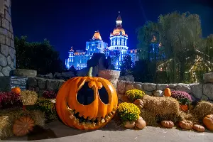  &copy;&nbsp;Фото пресс-службы &laquo;Сочи Парка&raquo;