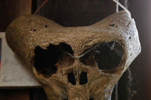 "Музей снежного человека" в Адыгее &copy;&nbsp;Влад Александров, ЮГА.ру