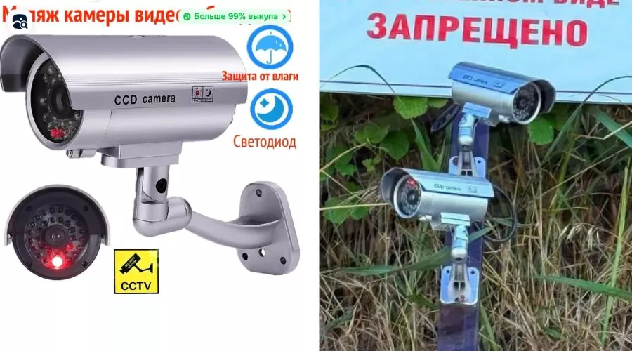 Камера-муляж и камера с пляжа в Дагомысе &copy;&nbsp;Скриншот товара Ozon и скриншот фото из телеграм-канала &laquo;Типичный Сочи&raquo;