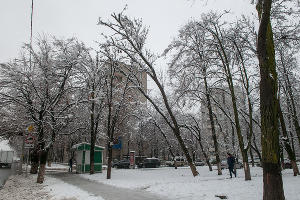  © Фото Дмитрия Пославского, Юга.ру