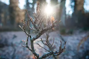  &copy;&nbsp;Фото Елены Синеок, Юга.ру