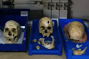  &copy;&nbsp;Фото Юли Шафаростовой, Юга.ру