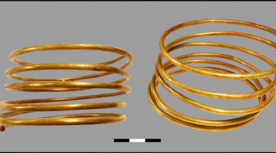  © Скриншот фото из телеграм-канала «Музей Фелицына»