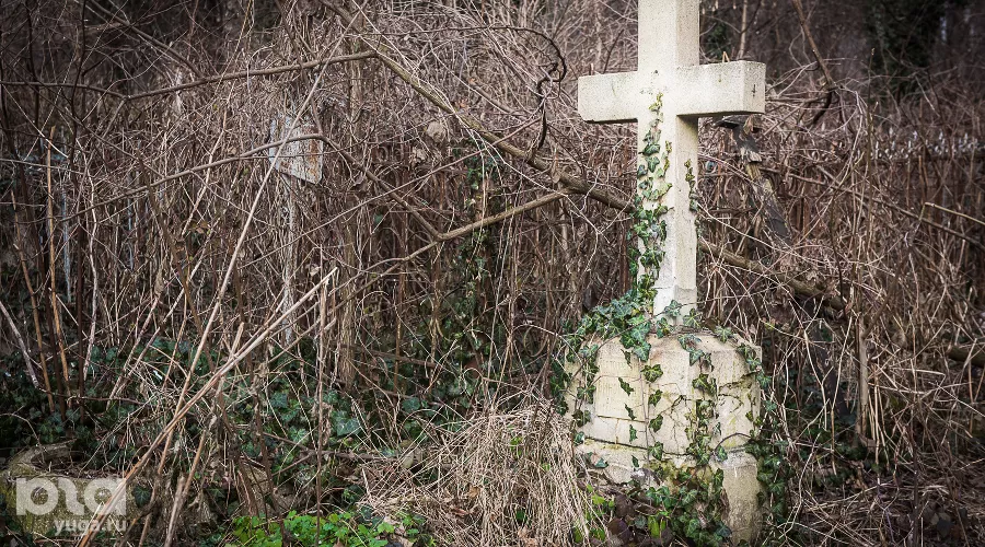  &copy;&nbsp;Елена Синеок, Юга.ру